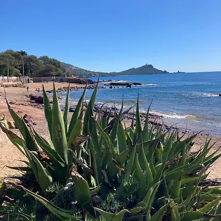 Bord De * Saint-Raphael (Var)